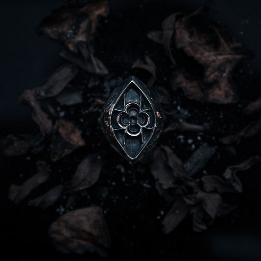 "𝐆𝐨𝐭𝐡𝐢𝐜" - Mercy